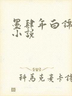 墨肆年白锦瑟 小说