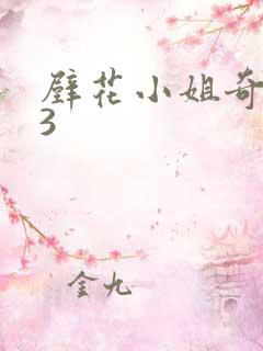 壁花小姐奇遇记3