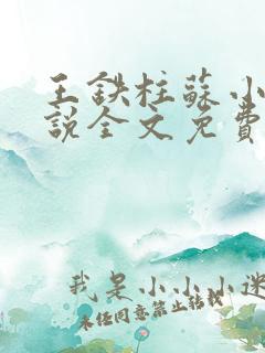 王铁柱苏小汐小说全文免费阅读最新章节