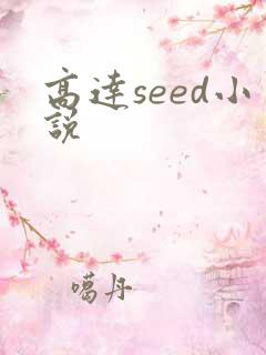 高达seed小说