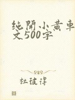 纯开小黄车小短文500字