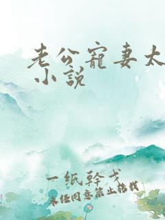 老公宠妻太甜蜜 小说