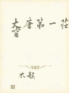 大唐第一庄无弹窗