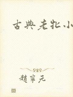 古典老牝小说
