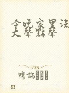 今晚家里没人叫大声点声