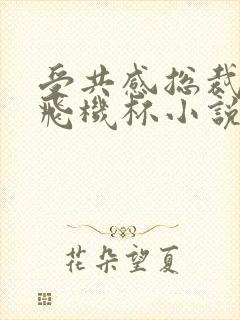 受共感总裁攻的飞机杯小说叫什么