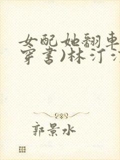 女配她翻车了(穿书)林汀汀