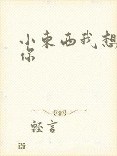 小东西我想弄坏你