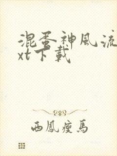 混蛋神风流史txt下载