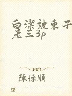 白洁被东子老二老三3p