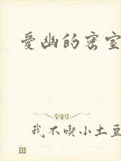 爱幽的密室小说