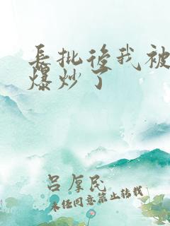 长批后我被宿敌爆炒了