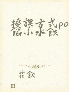 授课方式po肉馅小水饺
