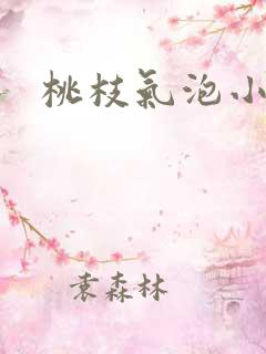 桃枝气泡小说