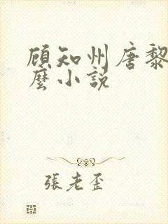 顾知州唐黎叫什么小说