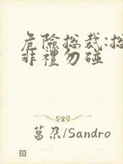 危险总裁:总裁非礼勿碰