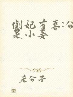 侧妃有喜:公主是小妾