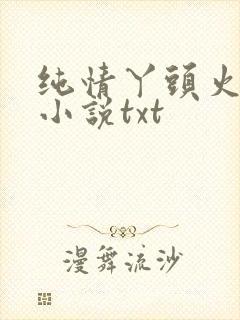 纯情丫头火辣辣小说txt
