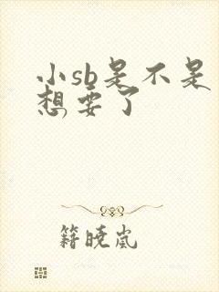小sb是不是又想要了
