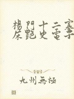 杨门十二寡妇肉床艳史电子书