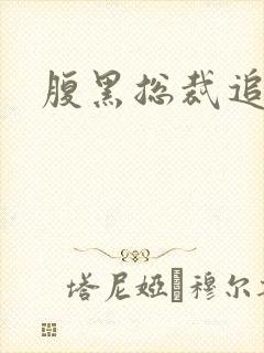 腹黑总裁追娇妻