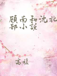 顾南和沈北是哪部小说