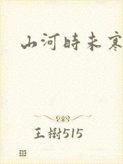 山河时未寒