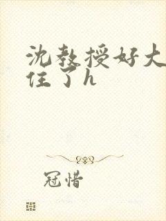 沈教授好大含不住了h