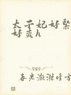 太子妃好紧皇上好爽h