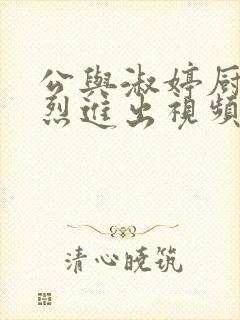 公与淑婷厨房猛烈进出视频