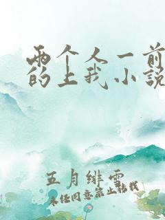 两个人一前一后的上我小说