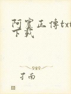 阿宾正传txt下载