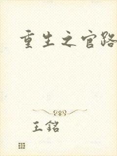 重生之官路情长