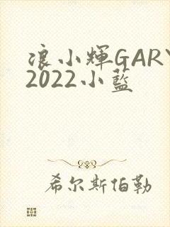 浪小辉GARY2022小蓝