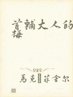 首辅大人的小青梅