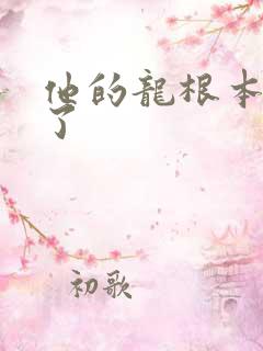 他的龙根本太大了