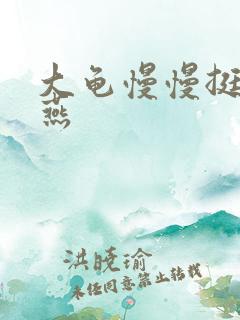 大龟慢慢挺进张燕