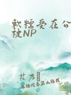 软糯受在公交车被NP