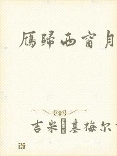 雁归西窗月小说