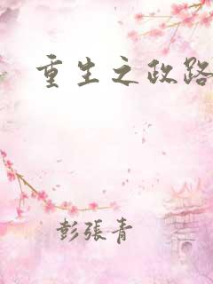 重生之政路风流