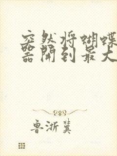 突然将蝴蝶遥控器开到最大