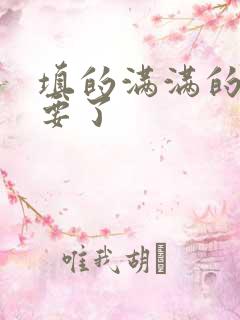 填的满满的 不要了