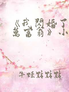 《我闪婚了个亿万富翁》小说