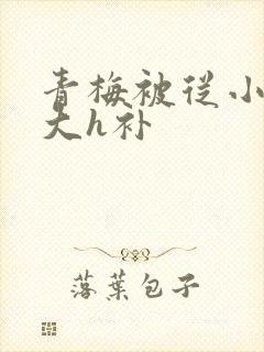 青梅被从小摸到大h补