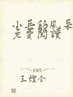 小兵的风采小说免费阅读