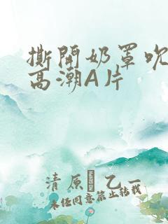 撕开奶罩吮奶头高潮A片