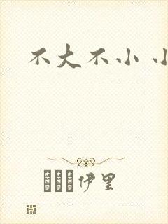 不大不小 小说