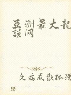 亚洲最大龙腾小说网