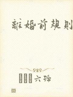 离婚前规则小说