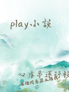 play小说